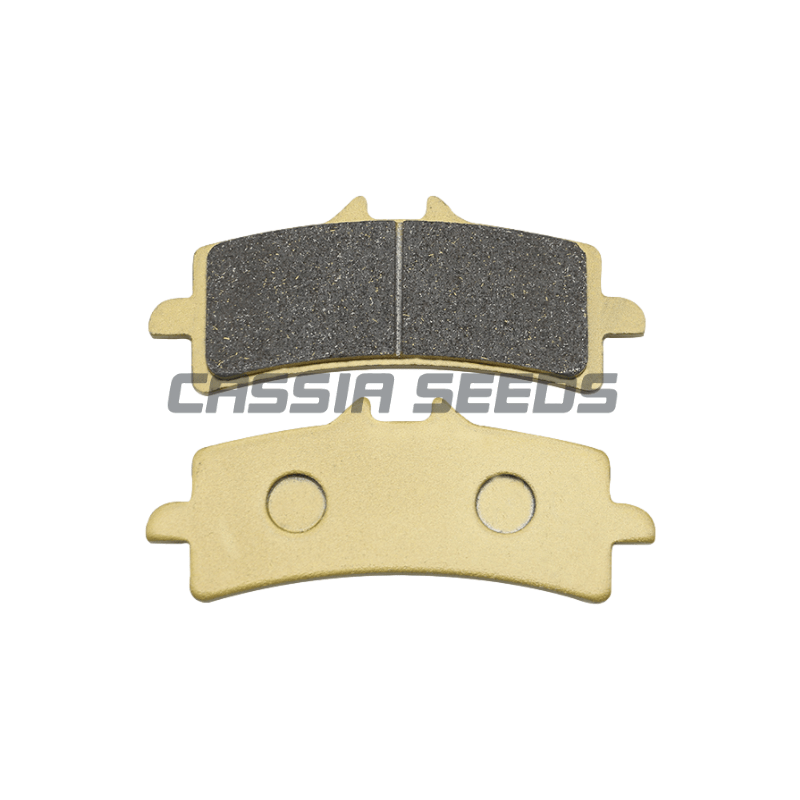 รถจักรยานยนต์ด้านหน้าและด้านหล - Carbon Ceramic Motorcycle Brake Rotor บทวิจารณ์และราคา