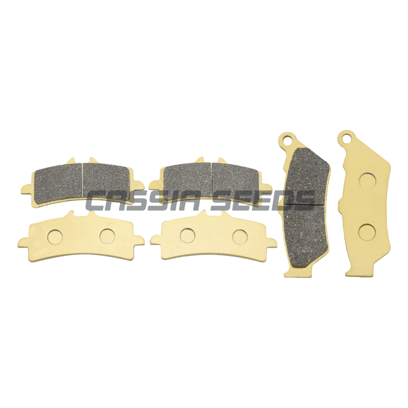 รถจักรยานยนต์ด้านหน้าและด้านหล - Carbon Ceramic Motorcycle Brake Rotor บทวิจารณ์และราคา